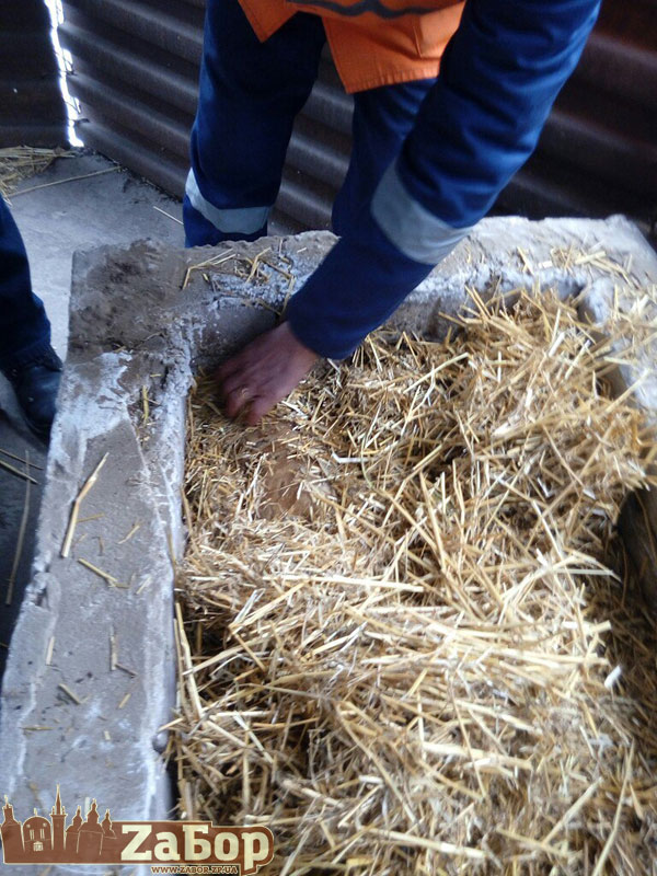 ���� ����� � ��������� �� ���