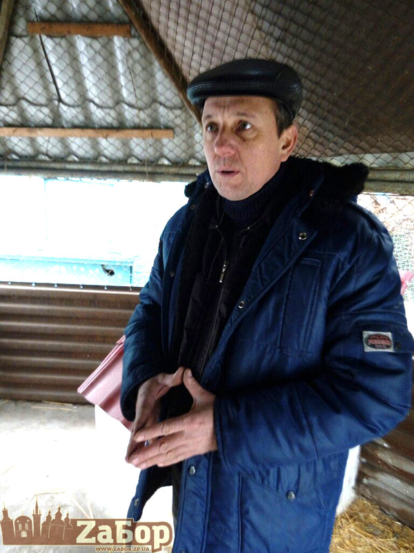 ���� ����� � ��������� �� ���