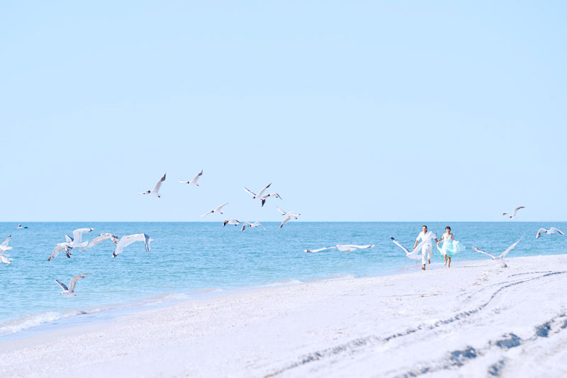 ������ �������� (��������� ��������)