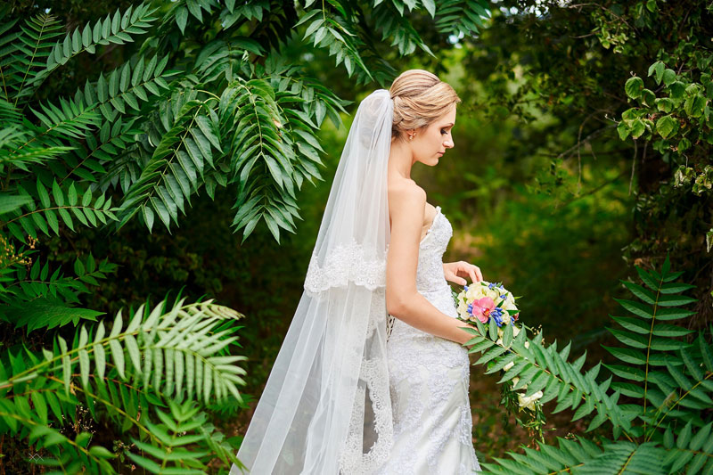 ������ �������� (��������� ��������)