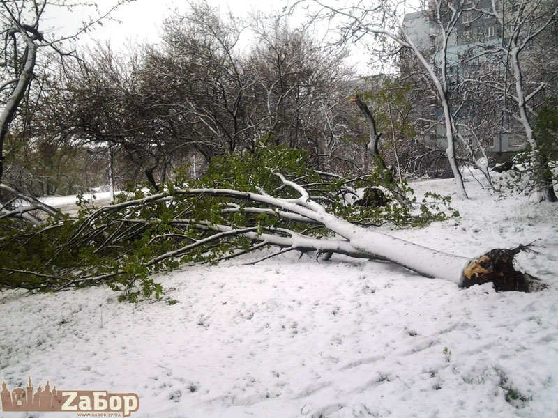 ������� ����� �� �������� ����� (���������)