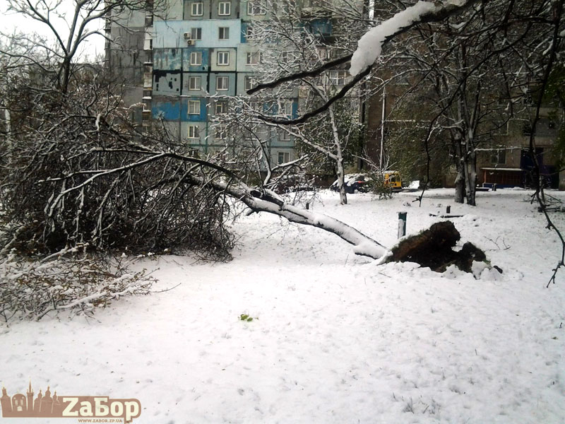 ������� ����� �� �������� ����� (���������)