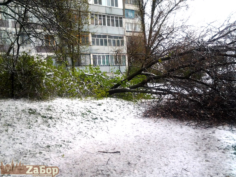 ������� ����� �� �������� ����� (���������)