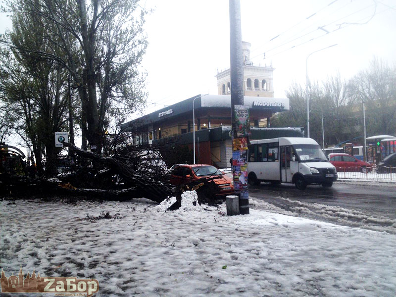 ������ ����� ����� ������������ (���������)