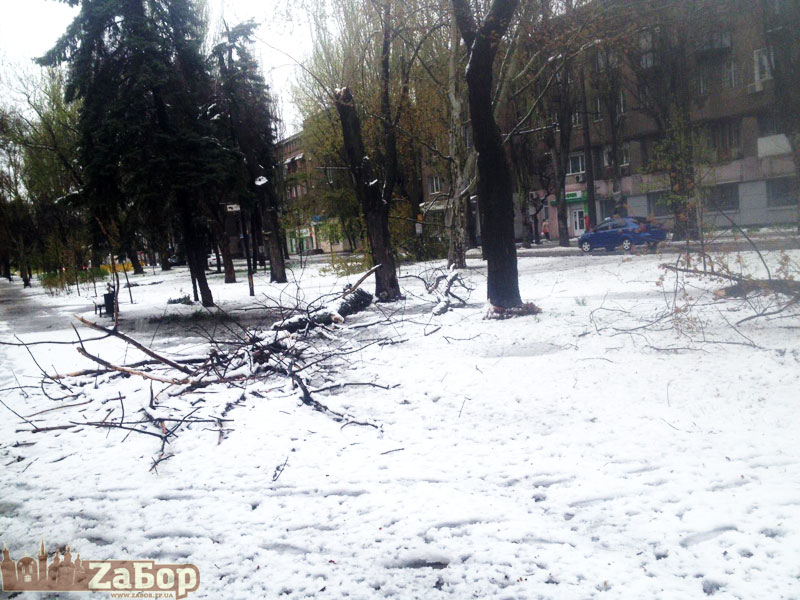 ������ ����� �� ��. ����������� (���������)