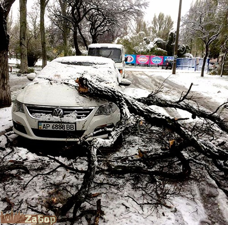 ������ ����� �� ������ � �������� "������" (���������)