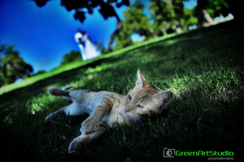 GreenArtStudio (��������) ���������