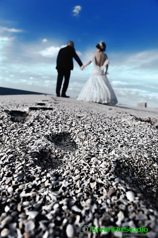 GreenArtStudio (��������) ���������