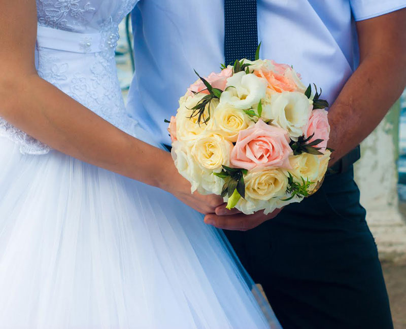 GreenArtStudio (��������) ���������