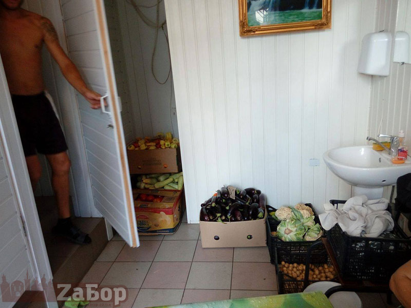 ���� �� ���������� ����� �� "���������" � ���������