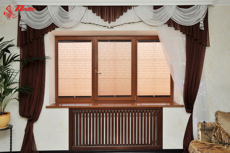 C���� ������ � ���� "�����" Proks