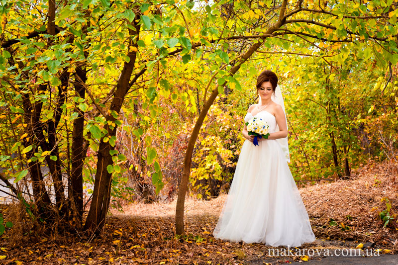 ������� �������� (��������)