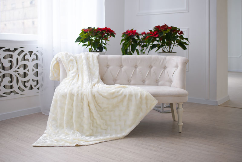 ���������� 77 � ���������