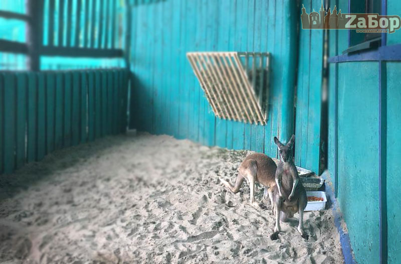 � ���������� ������� �������� �������