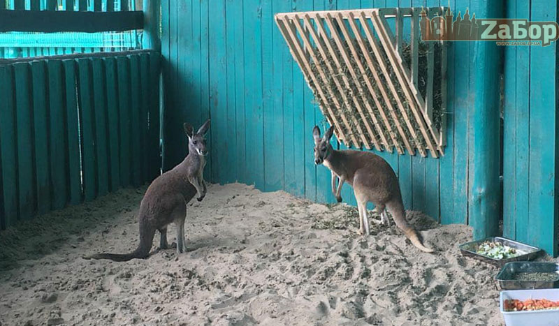 ������� � ���������� ��������