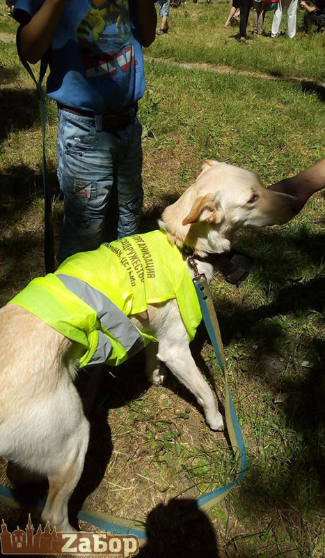 ��������� ����� � ������� ���� (���������)