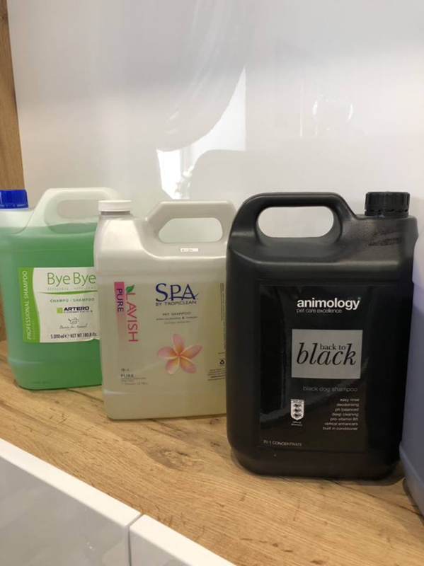 "Four Paws" (�������-����)