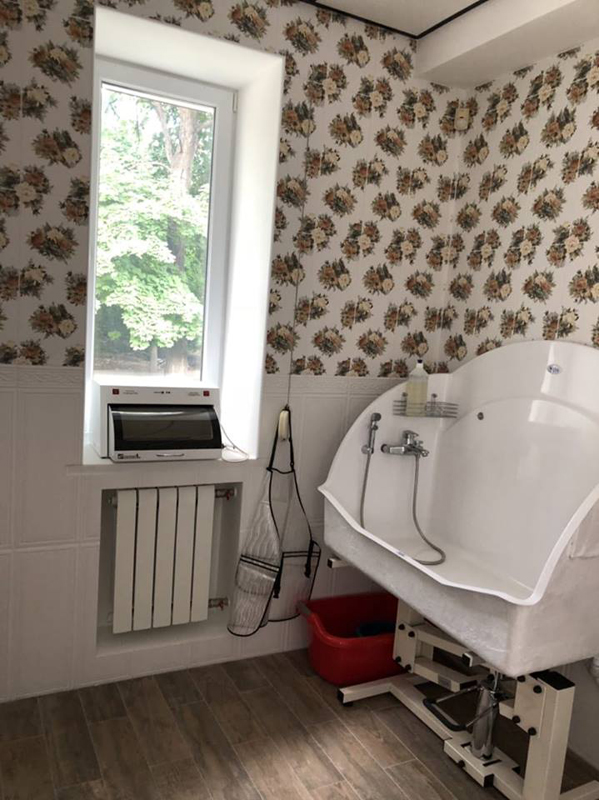 "Four Paws" (�������-����)