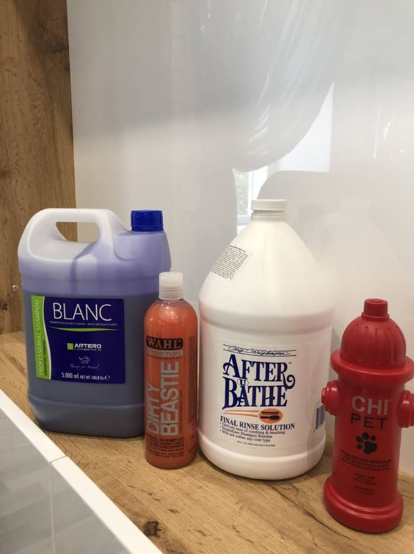 "Four Paws" (�������-����)