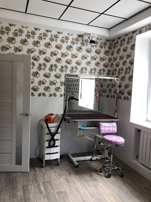 "Four Paws" (�������-����)