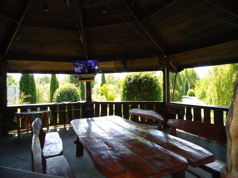 ������ ������