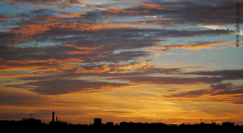 ���� � ���������