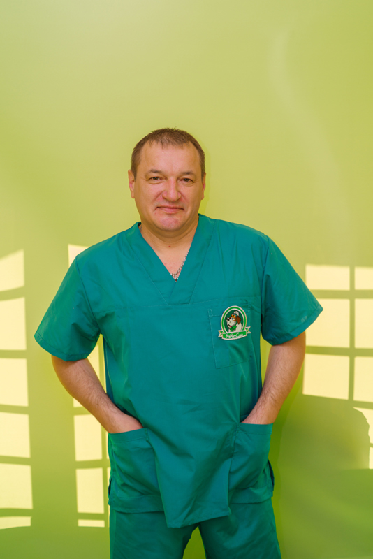 ������� ������� ����������