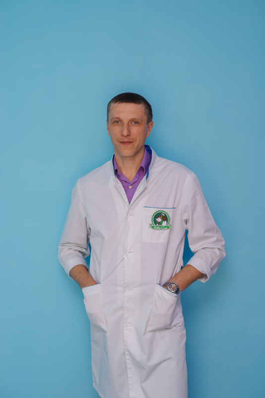 ������ ������ ����������