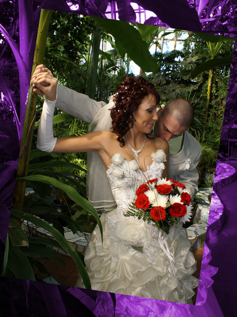 ��� �������� (�������)