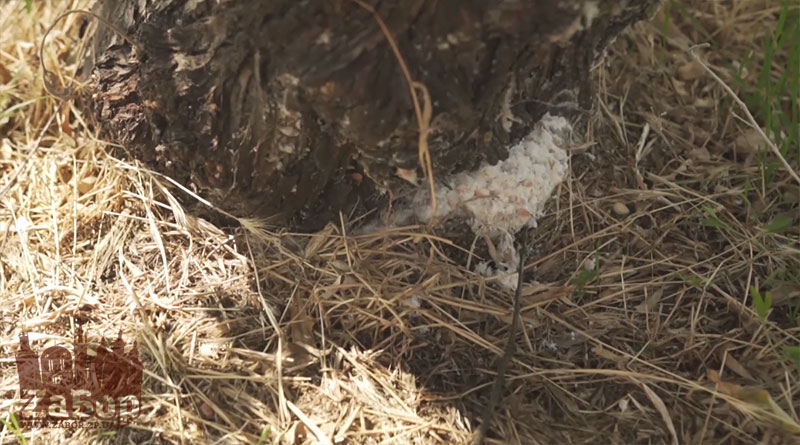 ��������� ������ � ���������