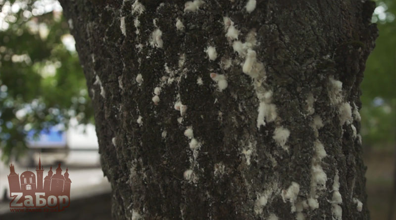 ��������� ������ � ���������