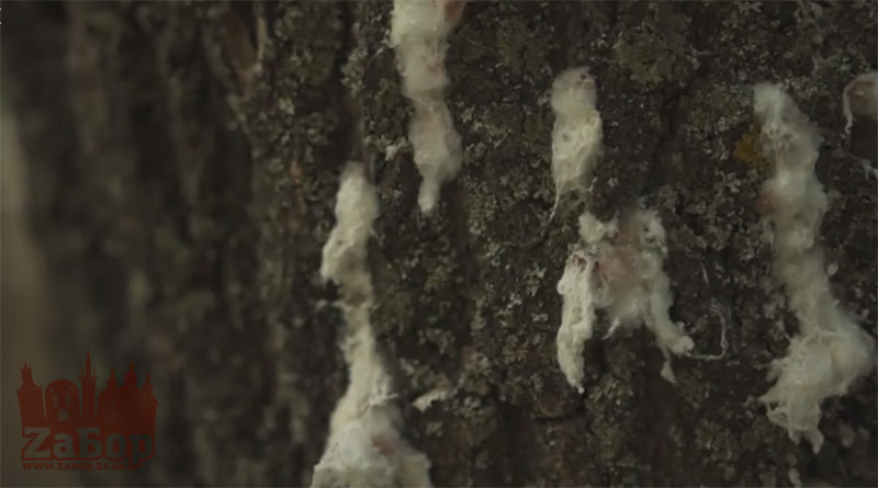 ��������� ������ � ���������