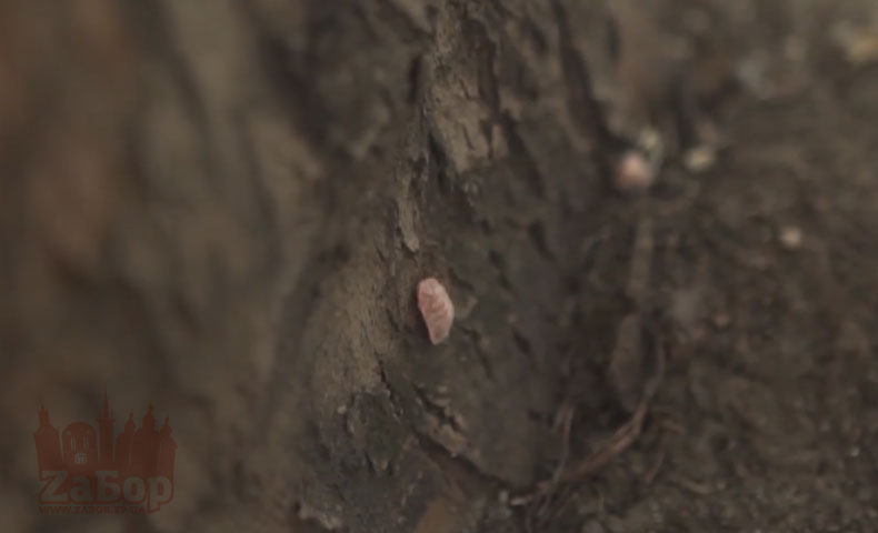 ��������� ������ � ���������