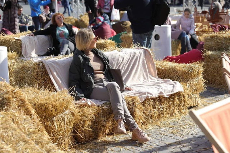 ���� ������ ���������. ���������� �������-2019