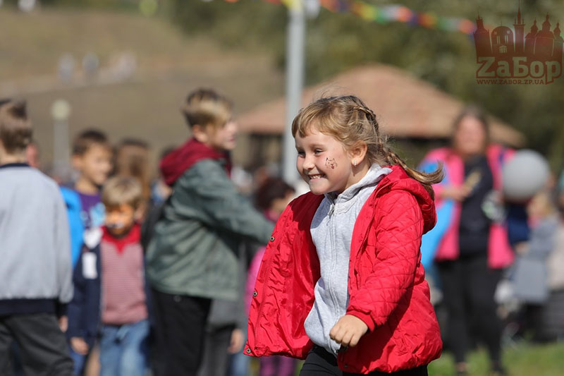 ���� ������ ���������. ���������� �������-2019