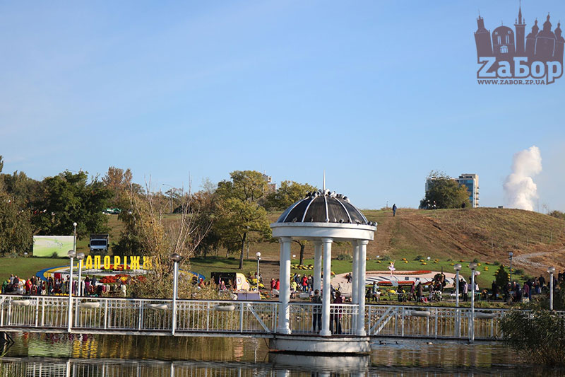 ���� ������ ���������. ���������� �������-2019