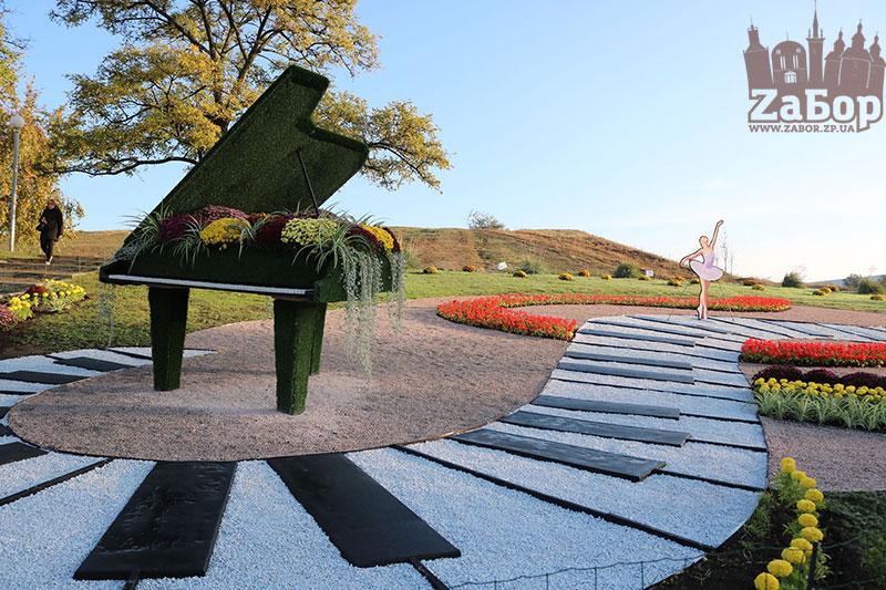 ���� ������ ���������. ���������� �������-2019