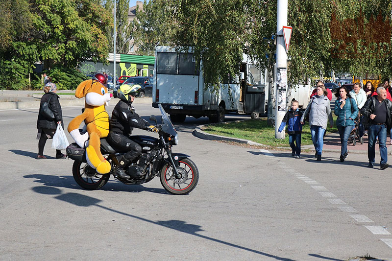 ���� ������ ���������. ���������� �������-2019