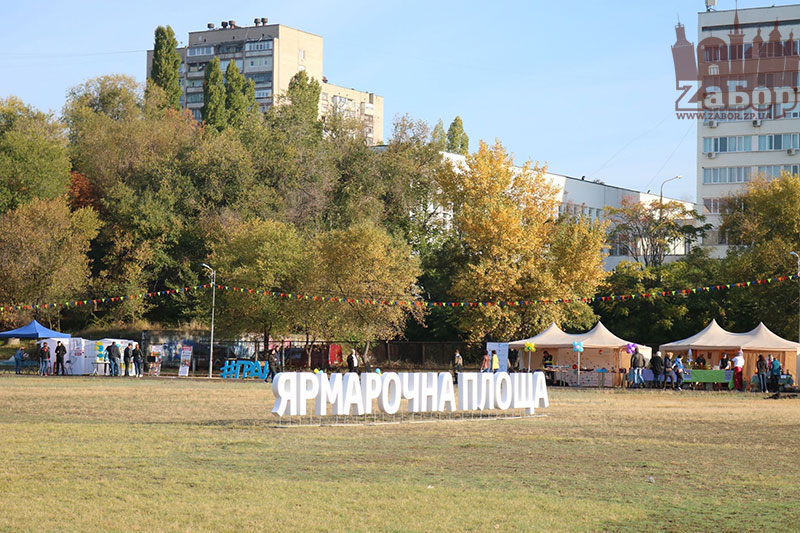 ���� ������ ���������. ���������� �������-2019