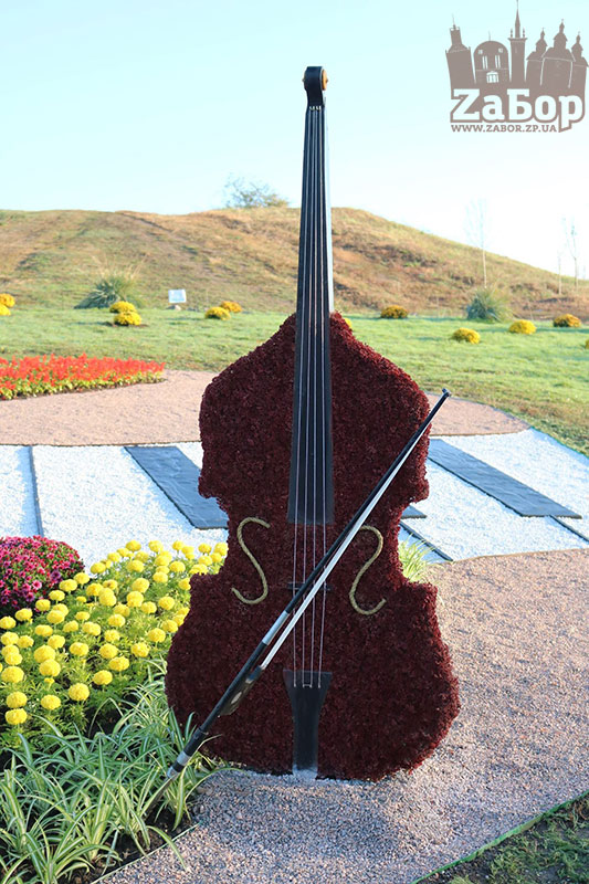 ���� ������ ���������. ���������� �������-2019