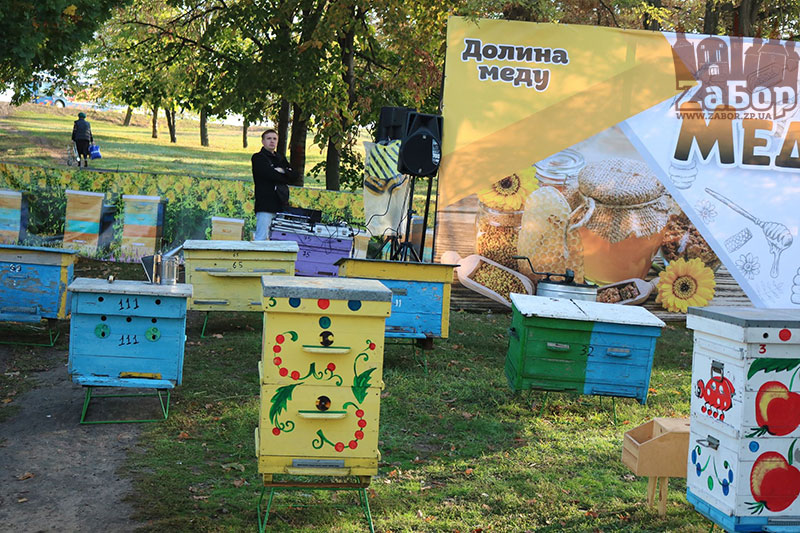 ���� ������ ���������. ���������� �������-2019