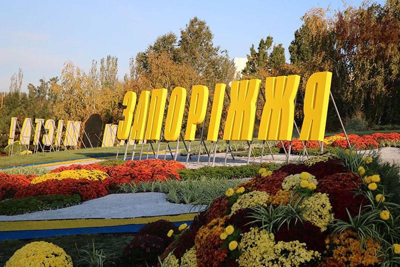 ���� ������ ���������. ���������� �������-2019