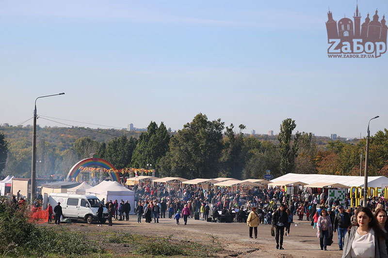 ���� ������ ���������. ���������� �������-2019