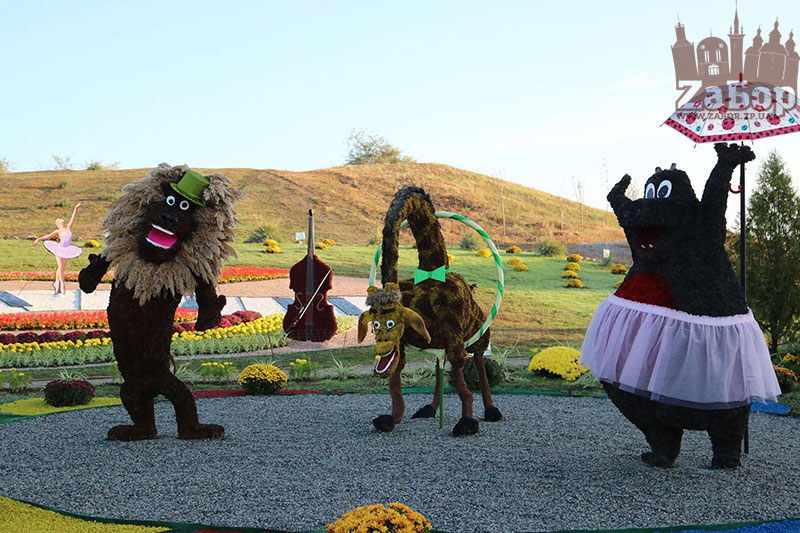 ���� ������ ���������. ���������� �������-2019