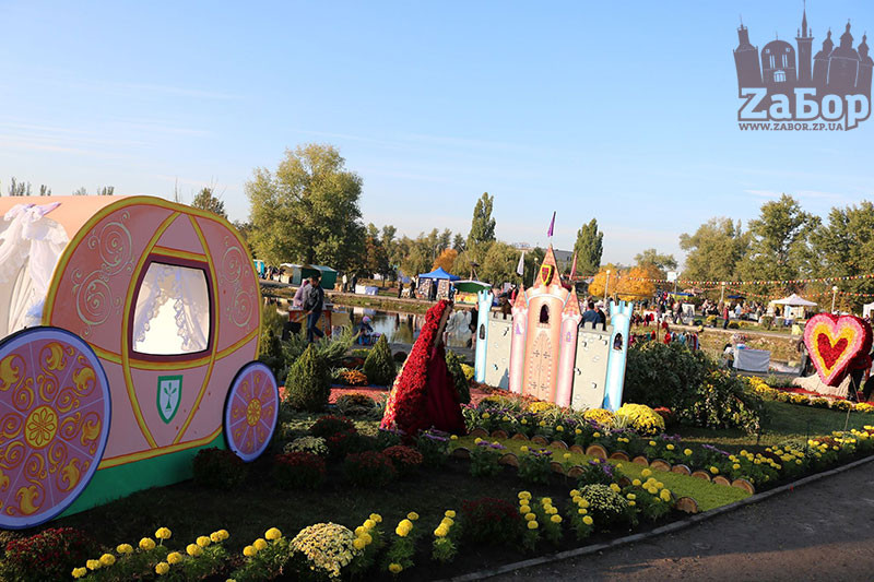 ���� ������ ���������. ���������� �������-2019