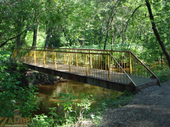 ������ ����� ���� ����� ��������