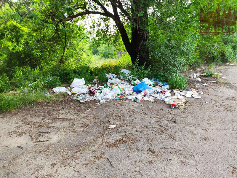 ����� � ������-���������������� ��������� Pool & Beach (���������)