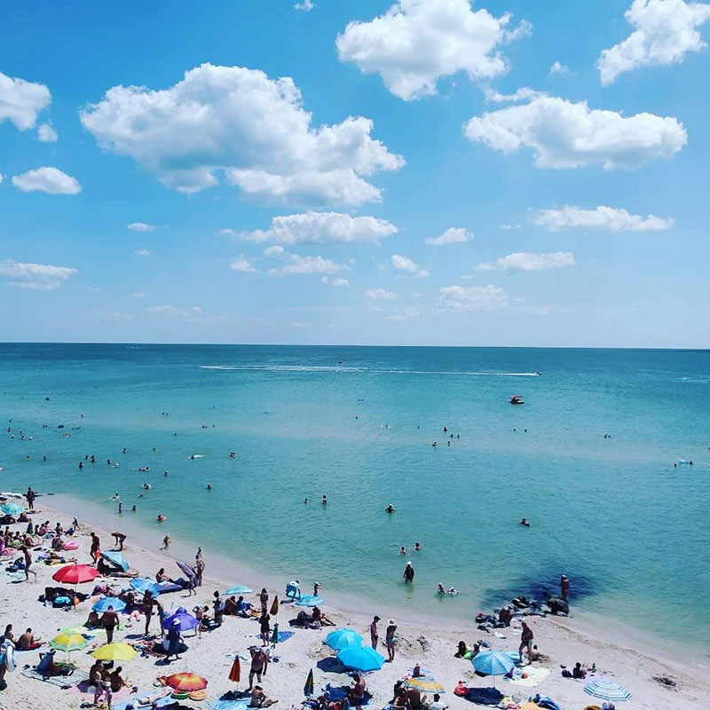 ���� ������ ������ (����������)