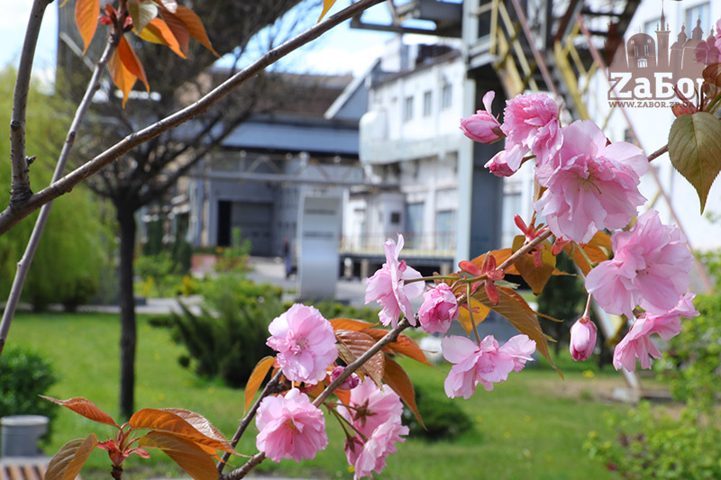 ������������. �����