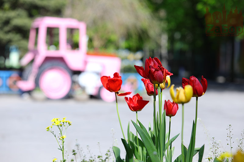 ������������. ��������